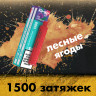 Одноразовая электронная сигарета Ashka Peak 1500 - Fir With Berries (Хвоя Ягоды)