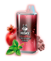 Одноразовая электронная сигарета Husky CYBER (8000) - SWEET BUCKSHOT (Гранат, Мята,  Лед)